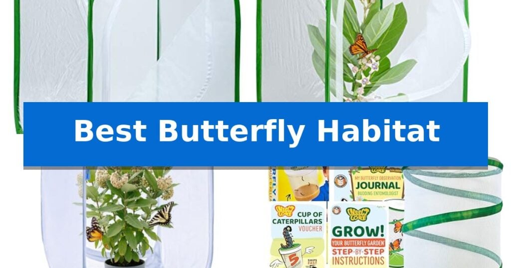Best Butterfly Habitat