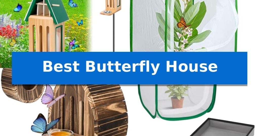 Best Butterfly House