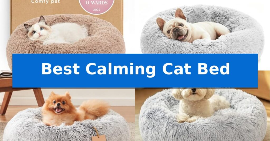 Best Calming Cat Bed