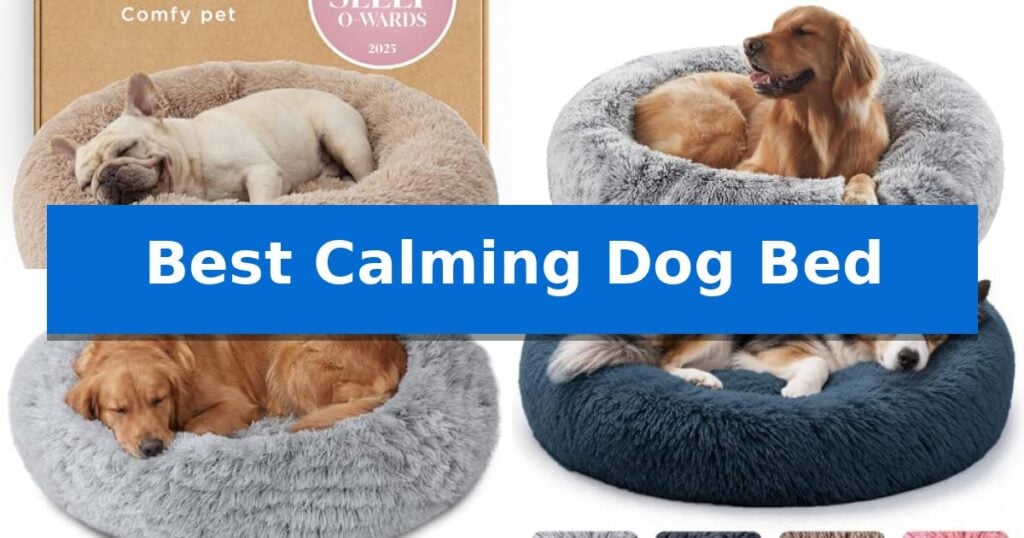 Best Calming Dog Bed