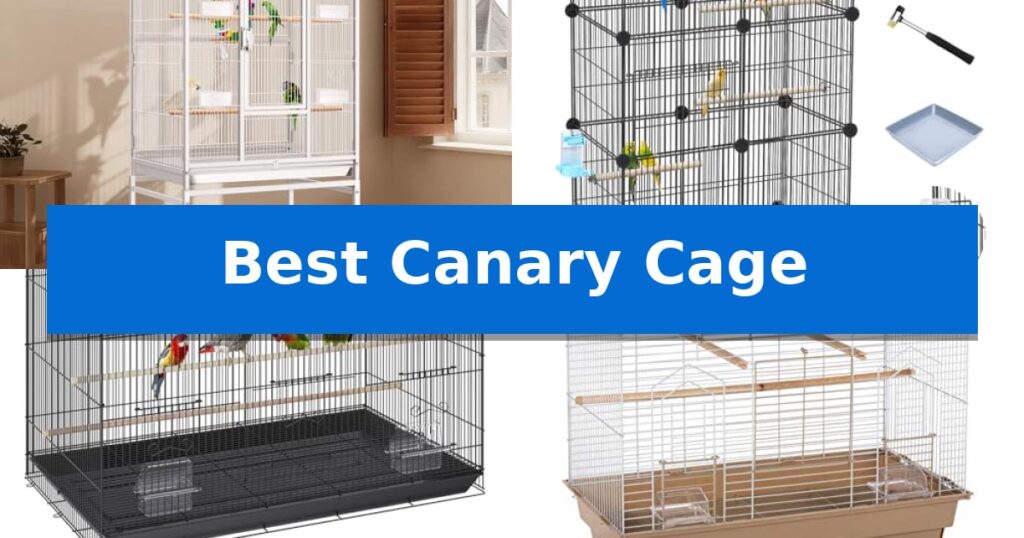 Best Canary Cage