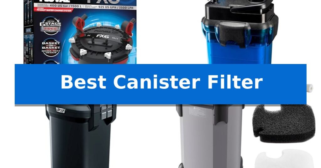 Best Canister Filter