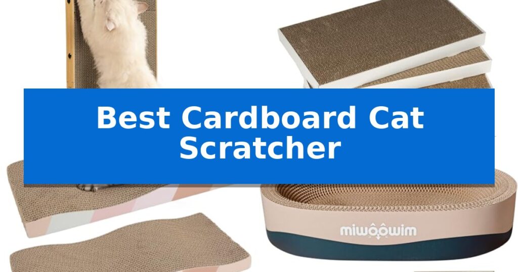 Best Cardboard Cat Scratcher