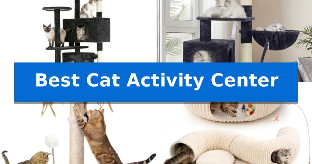 Best Cat Activity Center