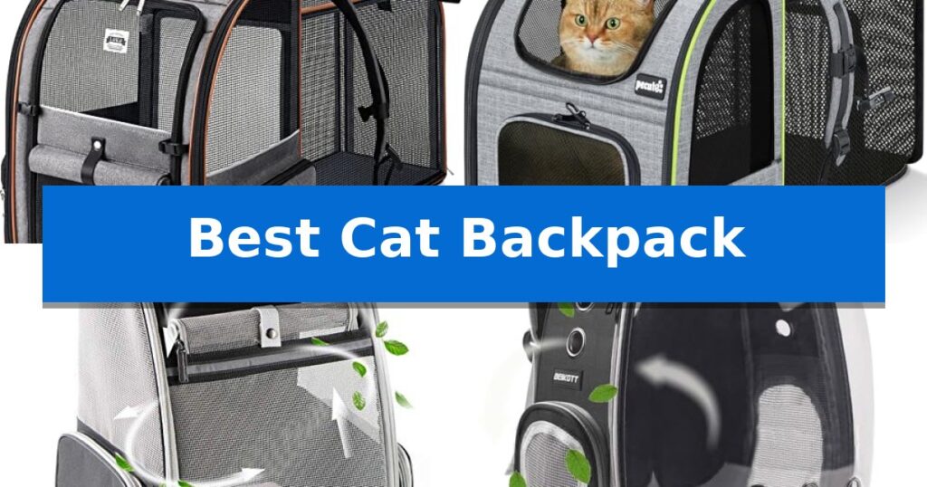 Best Cat Backpack