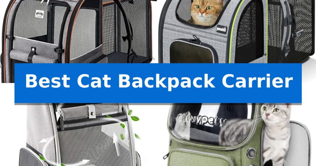 Best Cat Backpack Carrier