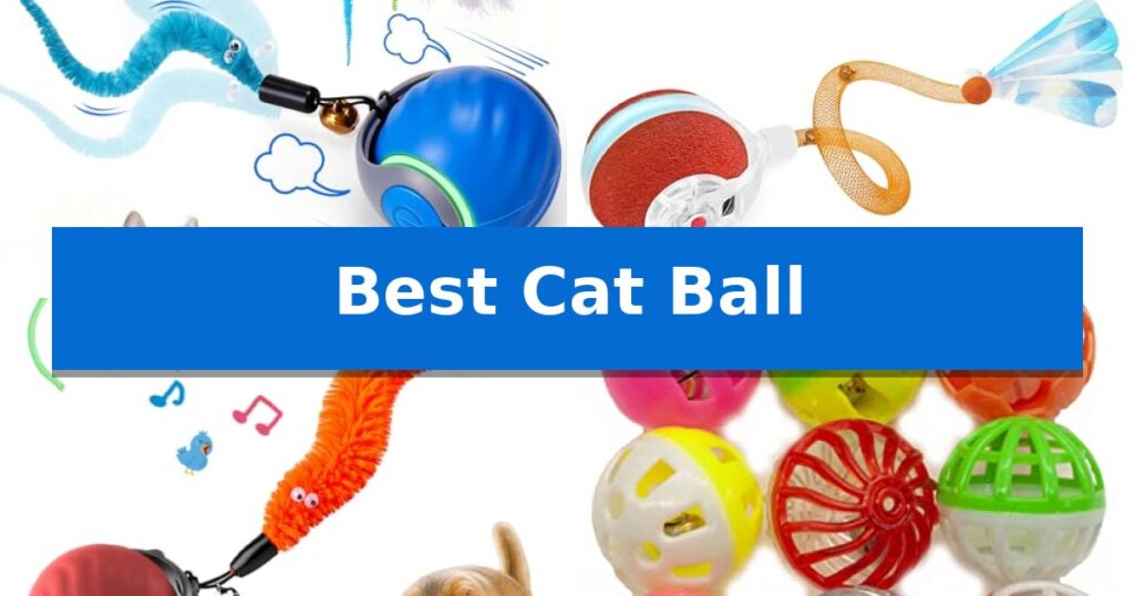 Best Cat Ball