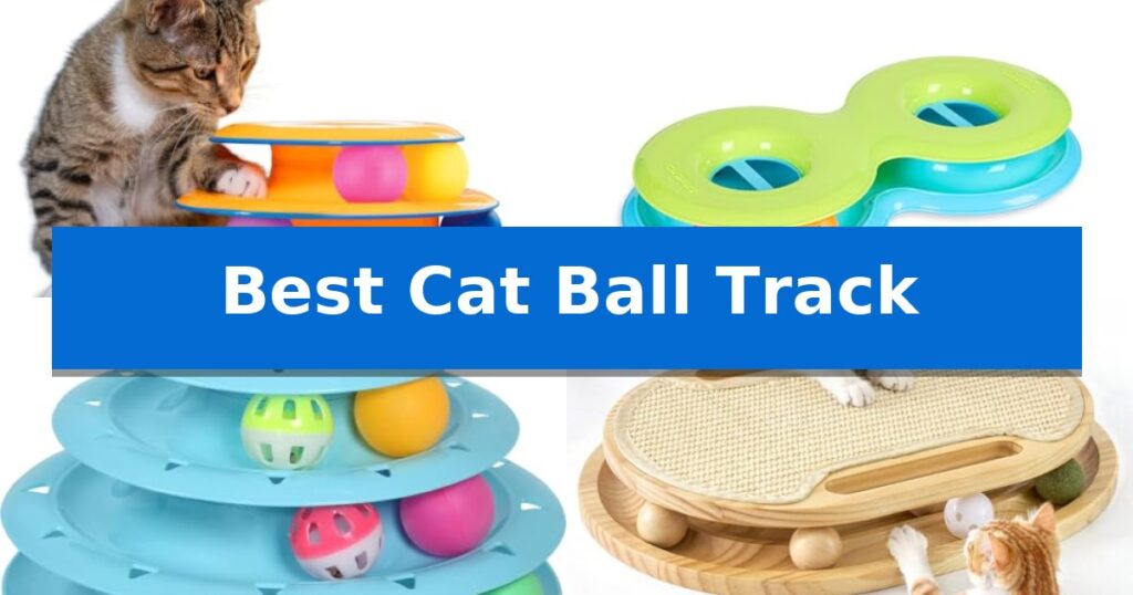 Best Cat Ball Track