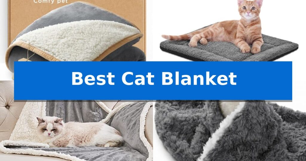 Best Cat Blanket