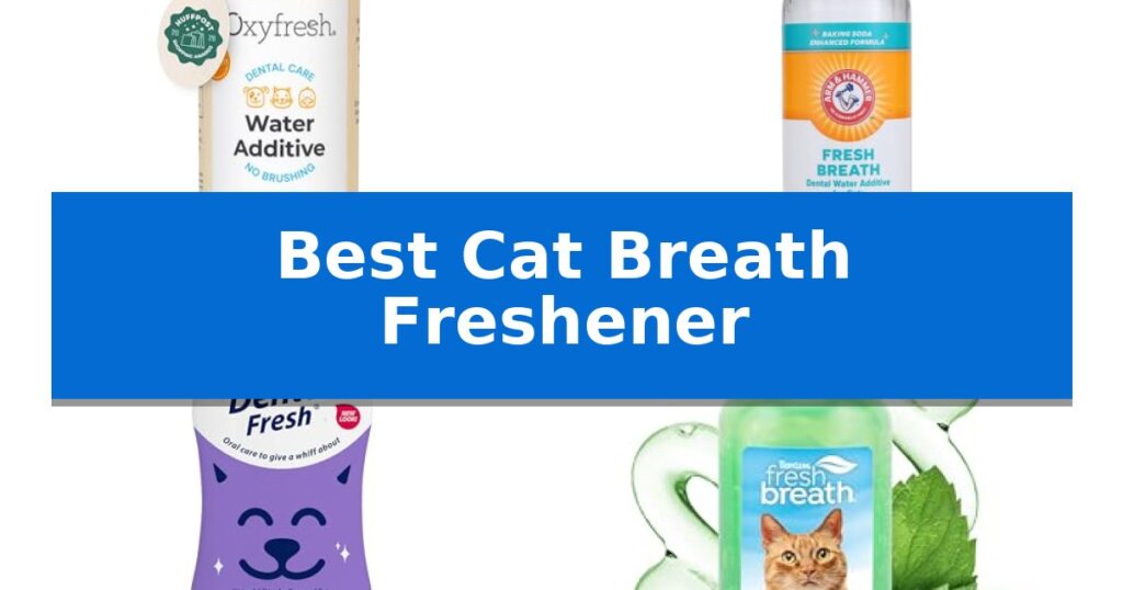 Best Cat Breath Freshener