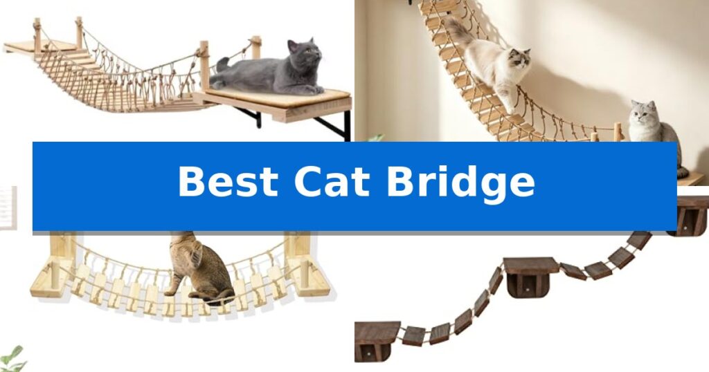 Best Cat Bridge