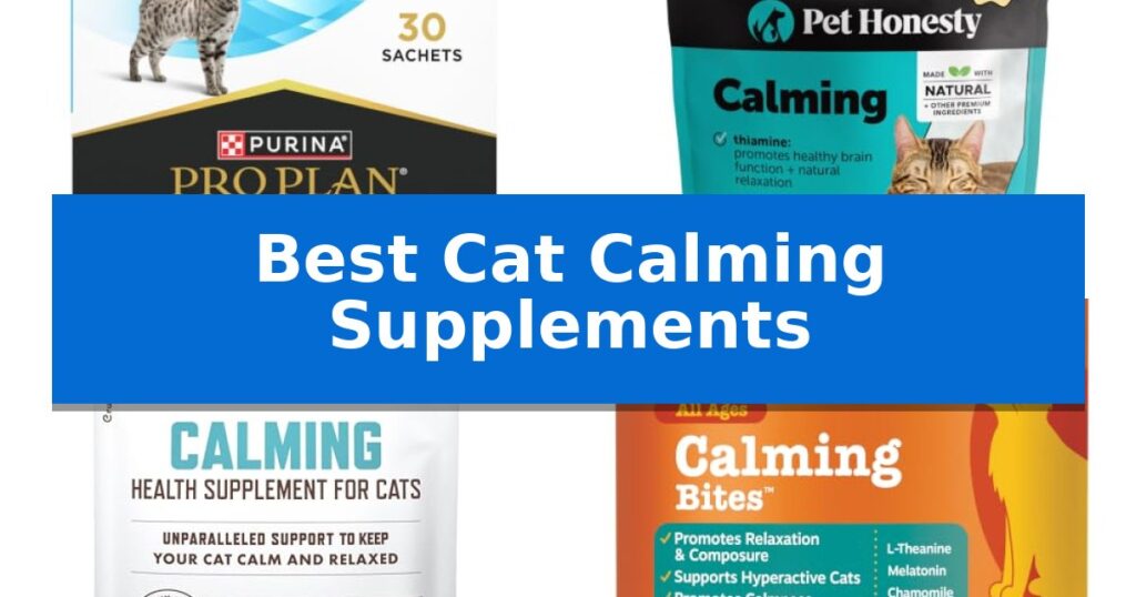 Best Cat Calming Supplements