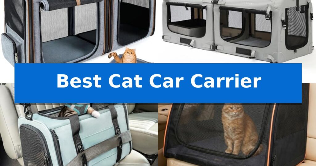 Best Cat Car Carrier