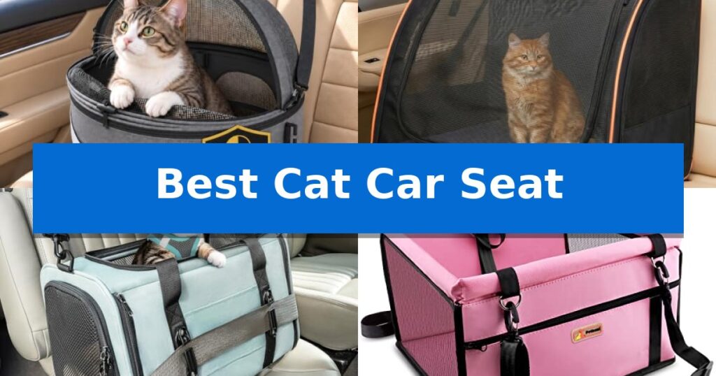 Best Cat Car Seat