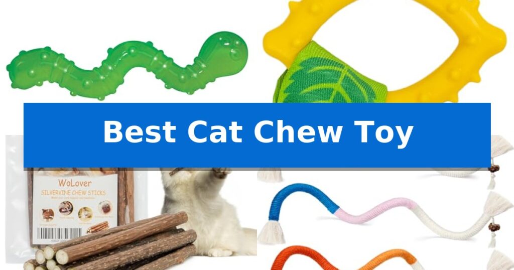Best Cat Chew Toy