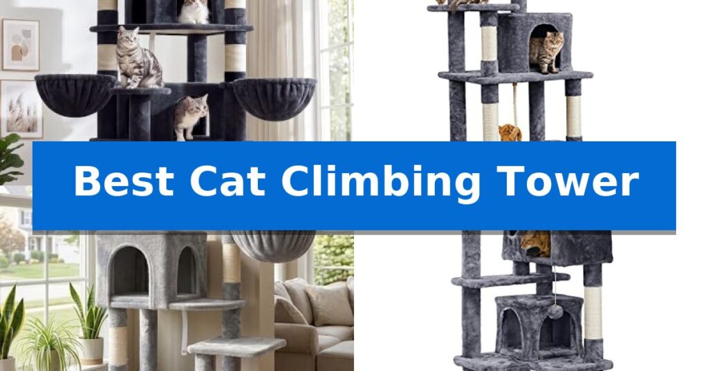 Best Cat Climbing Tower