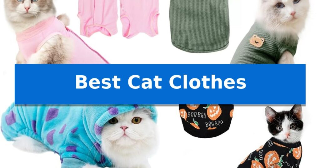 Best Cat Clothes