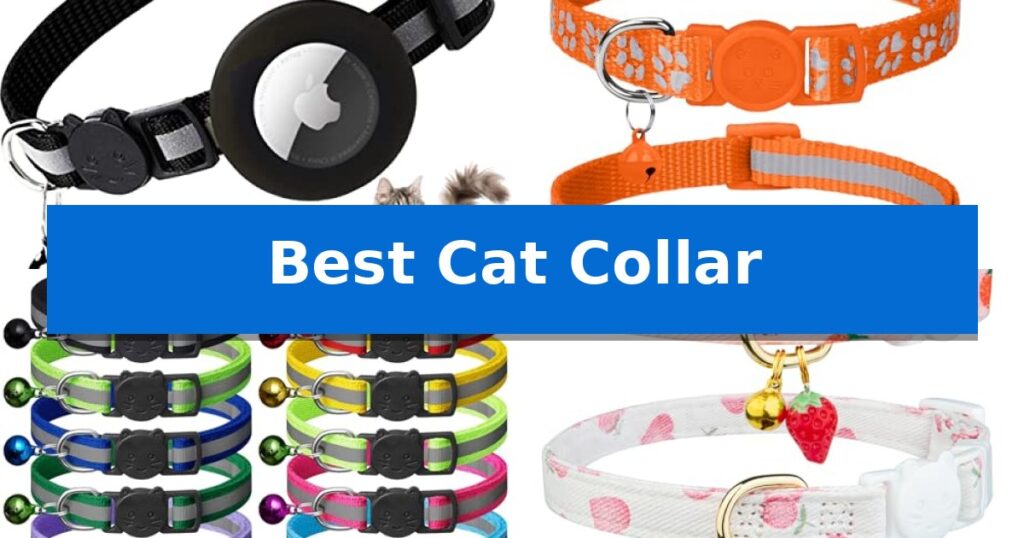 Best Cat Collar