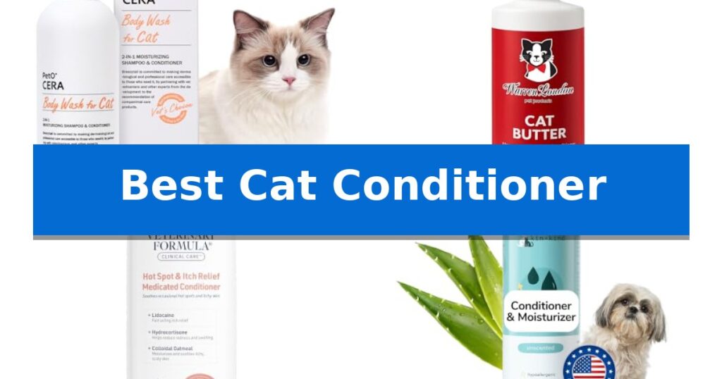 Best Cat Conditioner