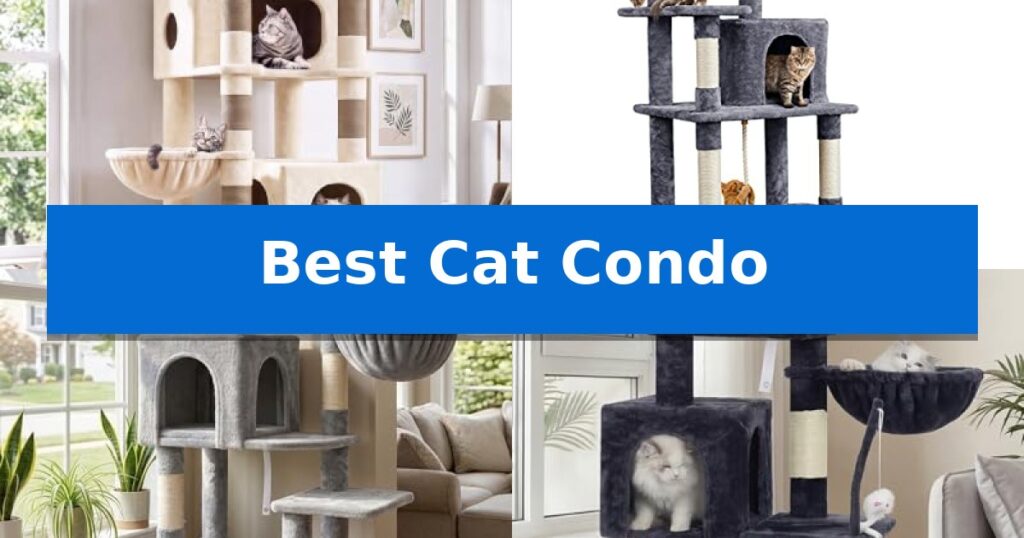 Best Cat Condo