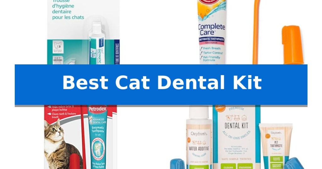 Best Cat Dental Kit
