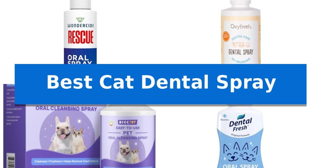 Best Cat Dental Spray