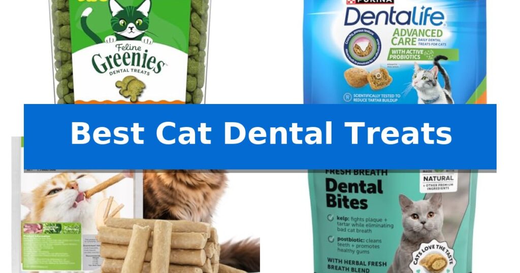 Best Cat Dental Treats