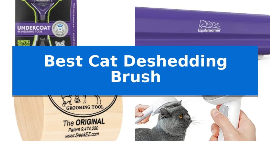 Best Cat Deshedding Brush