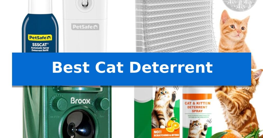 Best Cat Deterrent