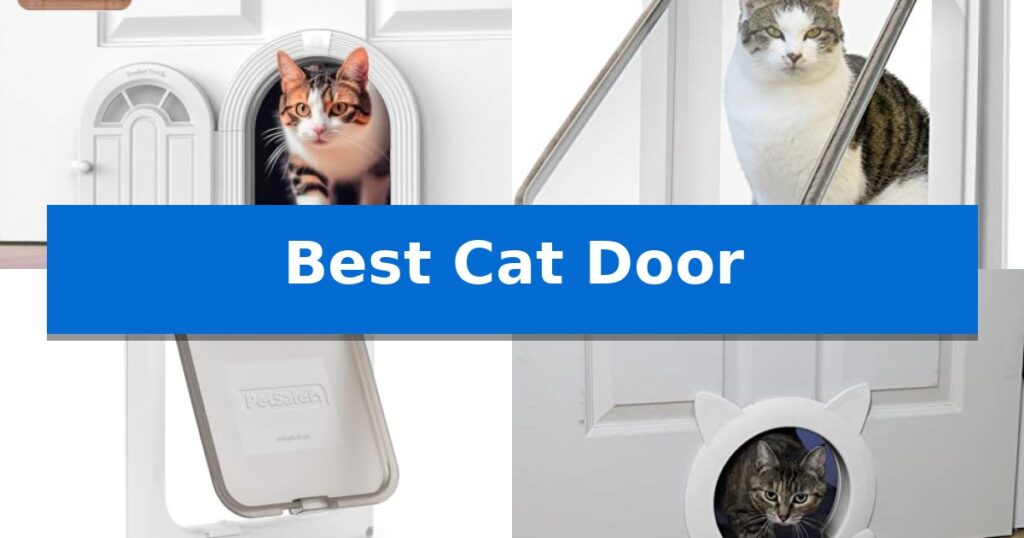 Best Cat Door
