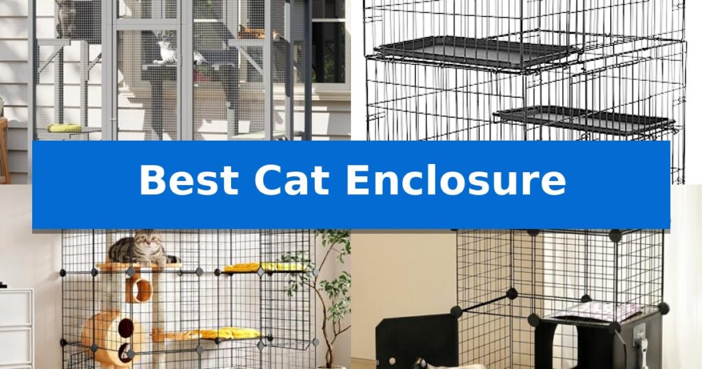 Best Cat Enclosure