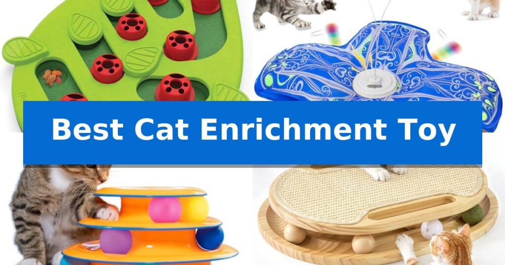 Best Cat Enrichment Toy