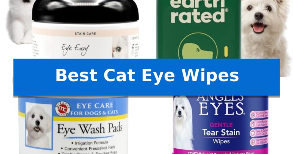 Best Cat Eye Wipes