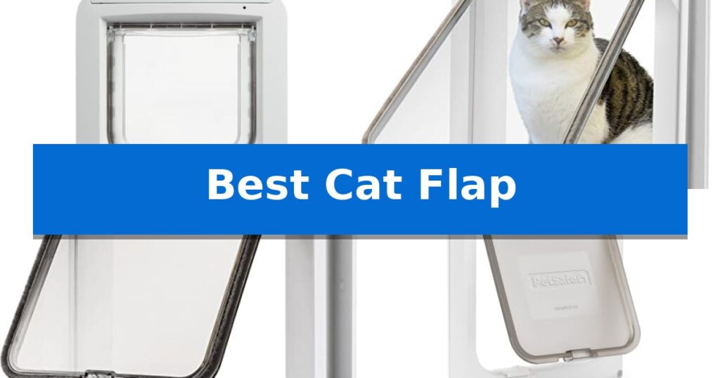 Best Cat Flap