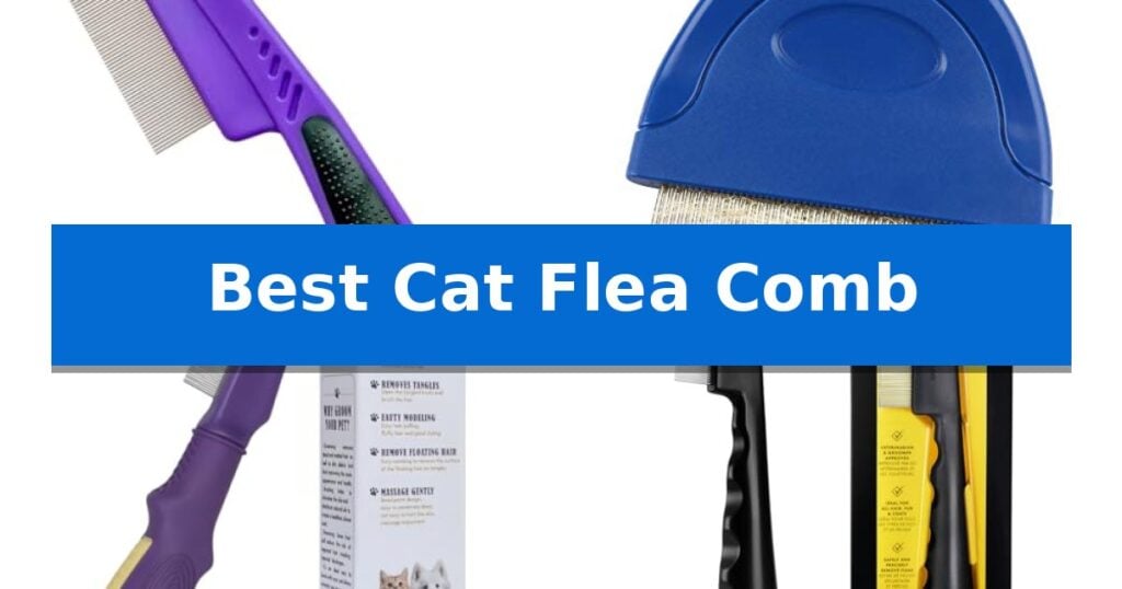 Best Cat Flea Comb