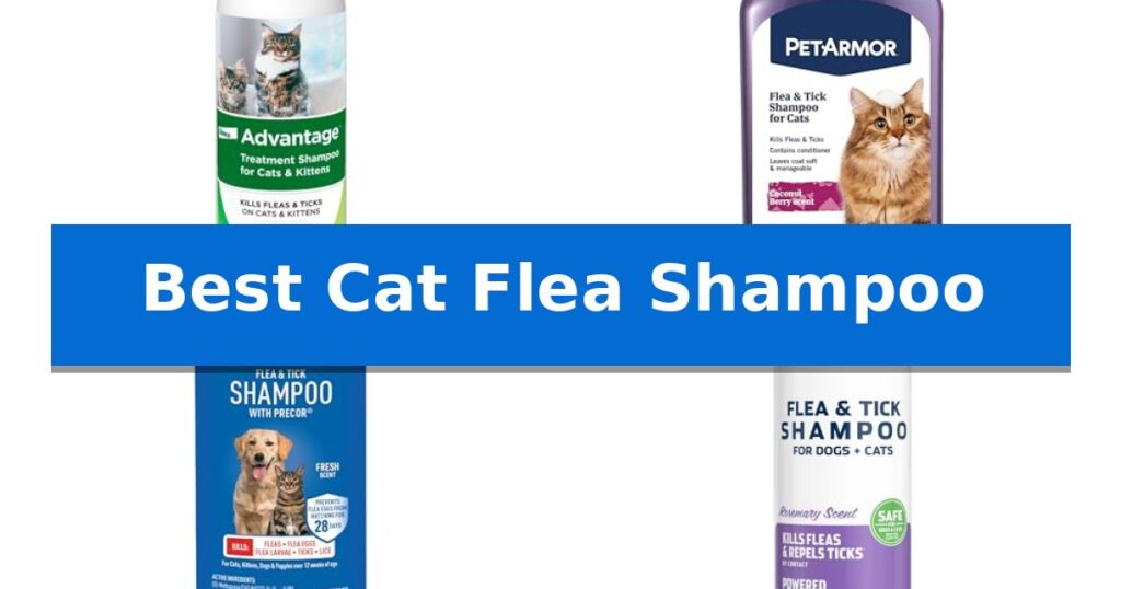 Best Cat Flea Shampoo