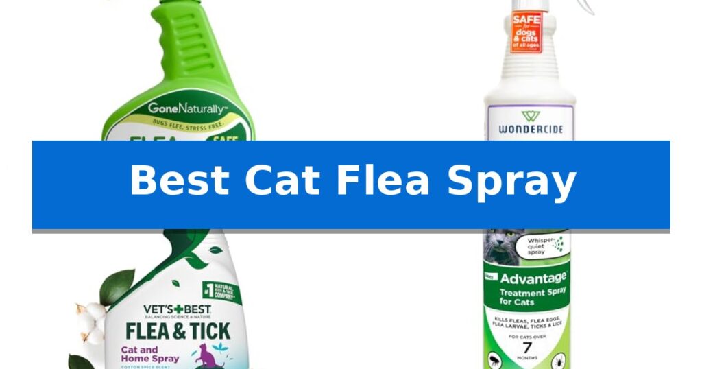 Best Cat Flea Spray