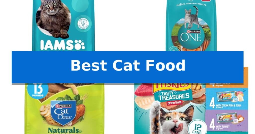 Best Cat Food