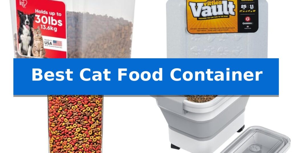 Best Cat Food Container