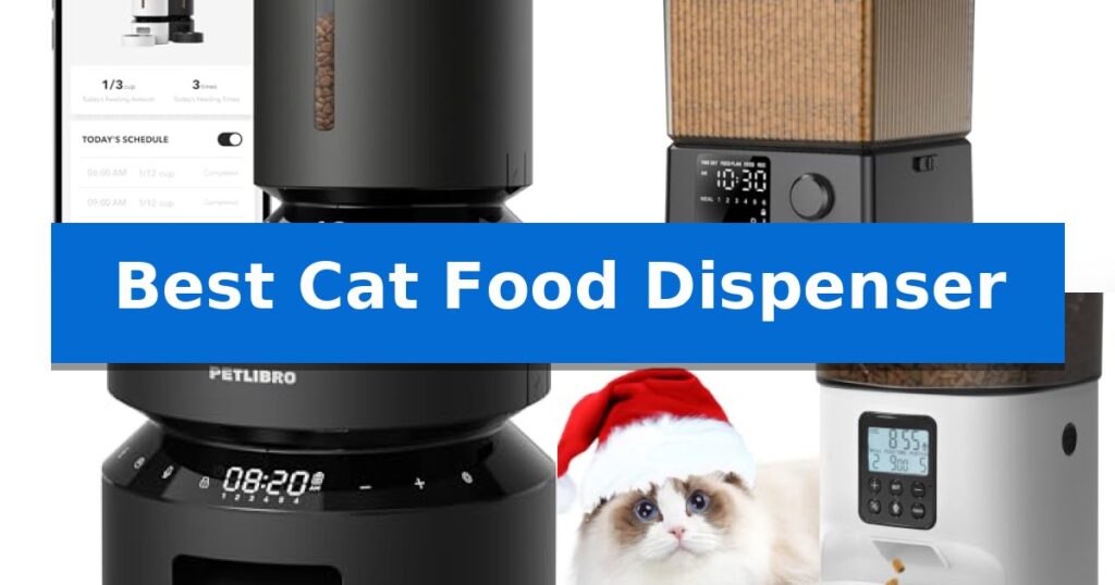 Best Cat Food Dispenser