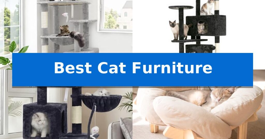 Best Cat Furniture