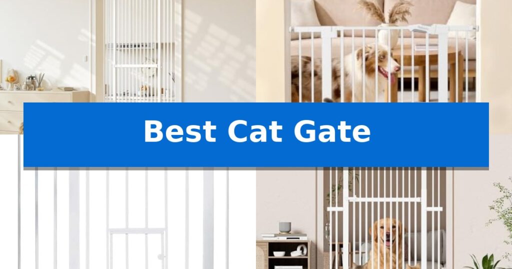 Best Cat Gate