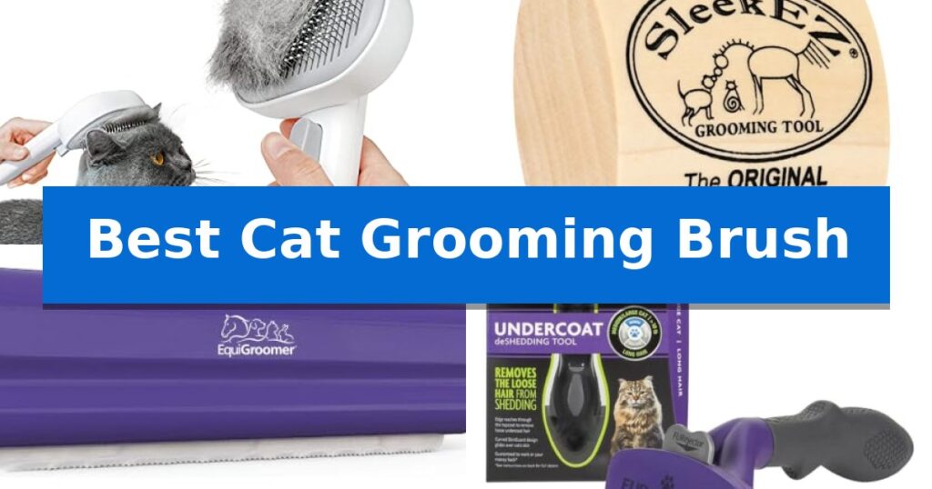 Best Cat Grooming Brush