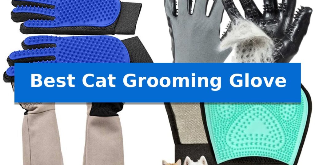 Best Cat Grooming Glove