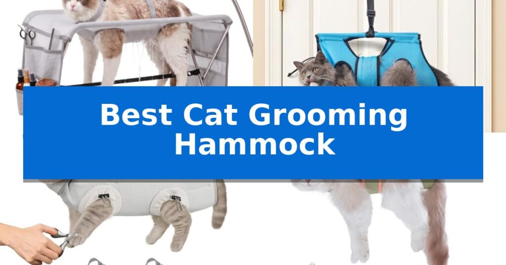 Best Cat Grooming Hammock