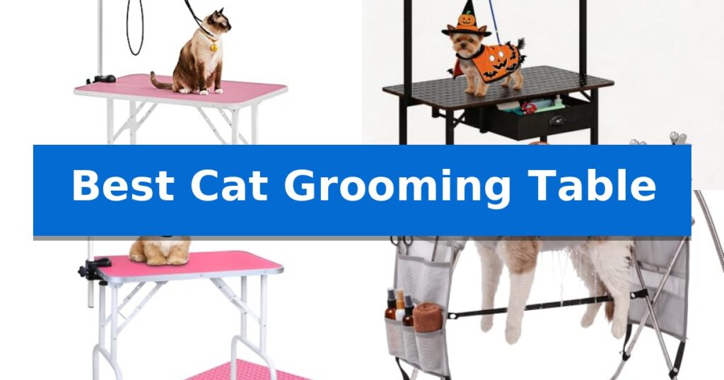 Best Cat Grooming Table