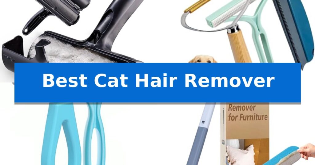 Best Cat Hair Remover