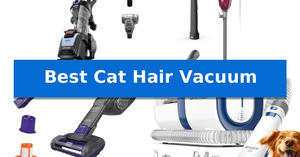 Best Cat Hair Vacuum