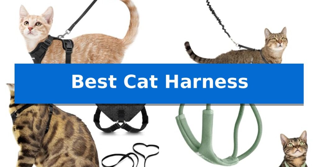 Best Cat Harness
