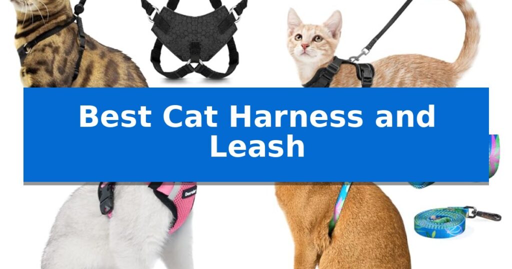Best Cat Harness and Leash